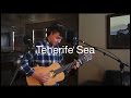 Ed Sheeran - Tenerife Sea (Acoustic Loop Pedal Cover)