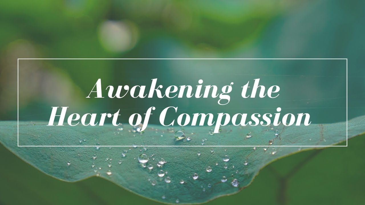 Awakening the Heart of Compassion