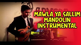 Mawla ya sallim | Instrumental | Mandolin cover