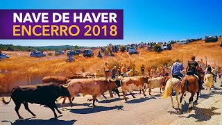 Nave de Haver Encerro de Toiros 2018