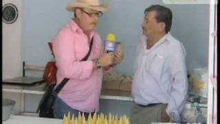 Conitos De Dulce De Leche En Marin Nl