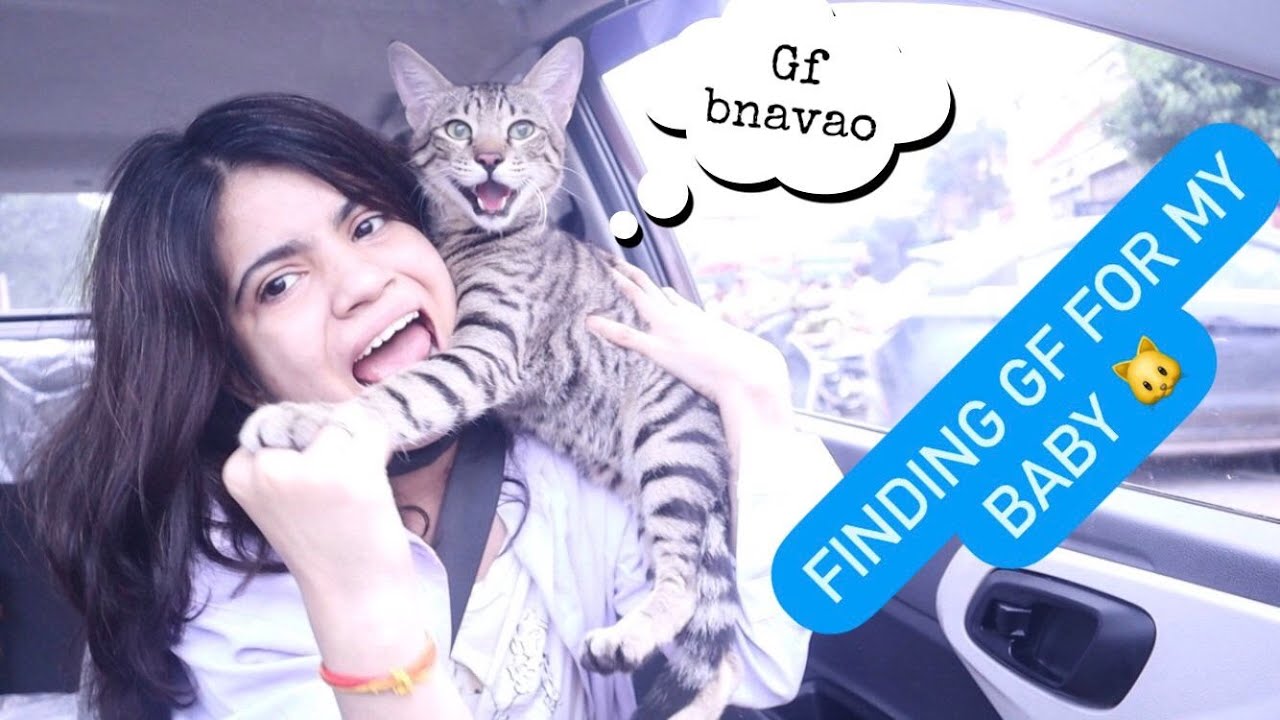 MEET MY BABY , *GIRLFRIEND HUNT*  |NIBHA|