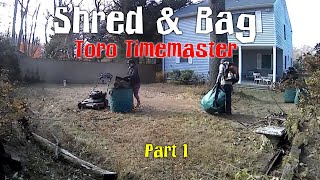 Leaf Removal - Fast & Efficient (21120301)