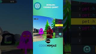 Code Ninjas Summer 2025 | Roblox Coding Quest