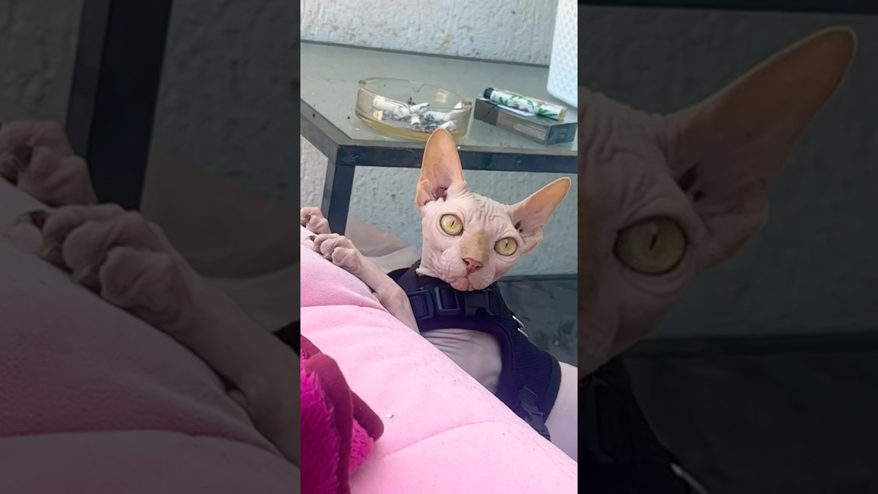 4 января 2026 г.