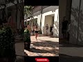 #funny #prankvideos #prank #scareprank #scared #reaction #scare