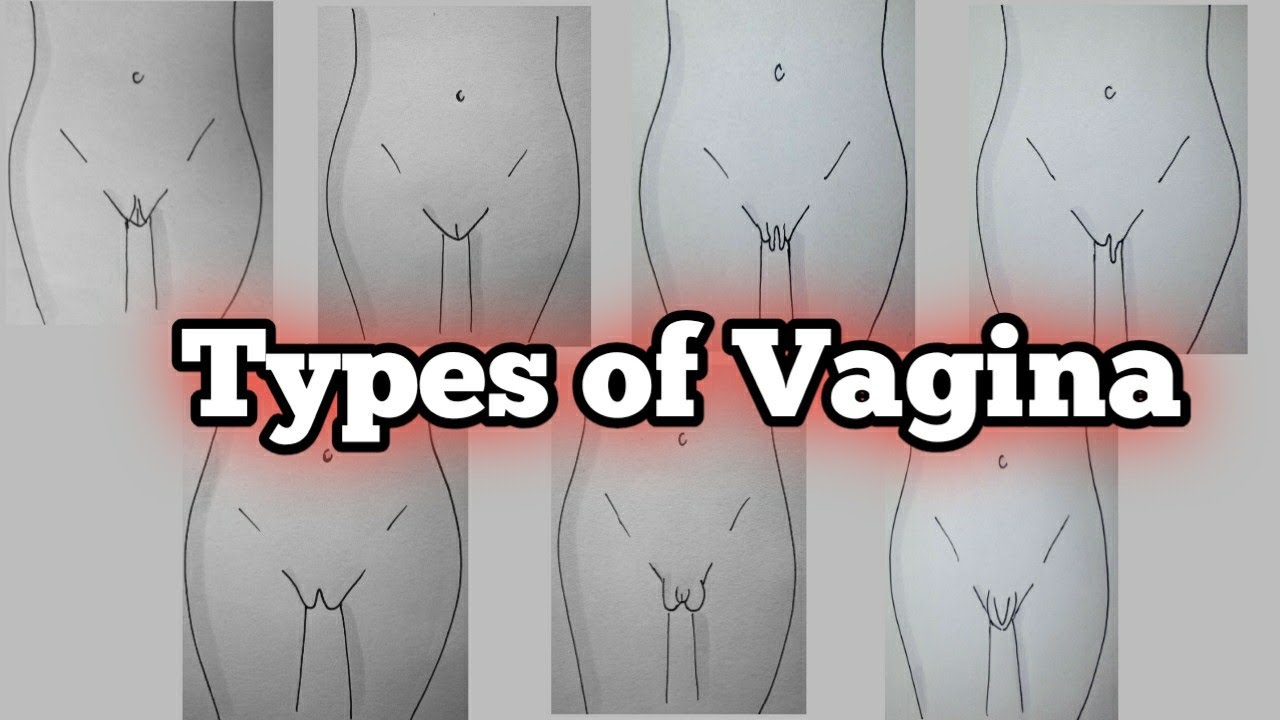 Types Of Vagina Vagina Types Different Vagina Vagina For