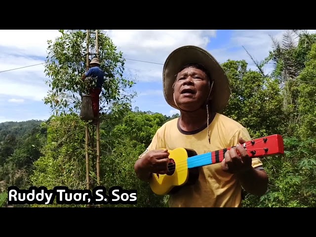 Lagu Tontemboan Suluun, Saling Membantu Dalam Hidup class=