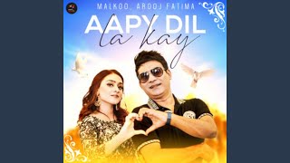 Aapy Dil La Kay