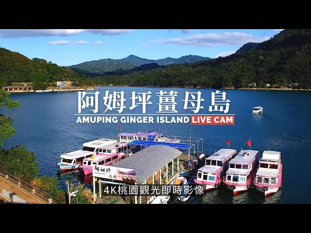 阿姆坪薑母島 即時影像