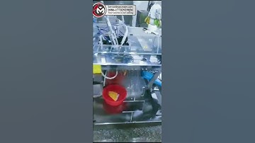 meatball filling machine | meatball packaging machine | pouch packing machine |bag packaging machine