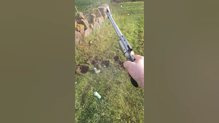 Baja Blasting with the Bushwhackers