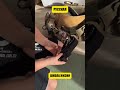 Вот что значит быть крутым подростком (перевод Такер Карлсон)