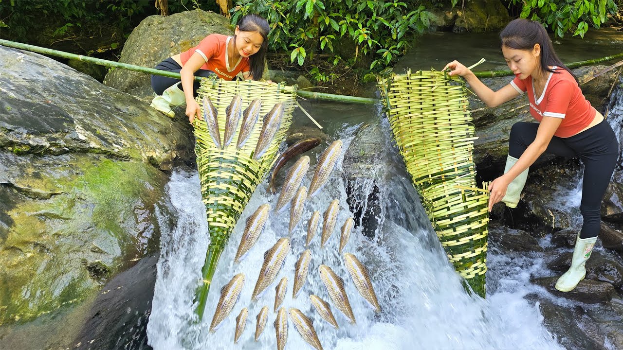 The girl made a bamboo fish trap to block the stream and caught a lot ...