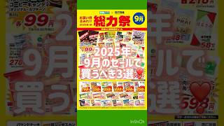9/30まで❣️業務スーパー9月の総力祭セールで買うべきおすすめ3選
