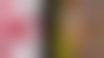 45 scan by almi tv vgcp