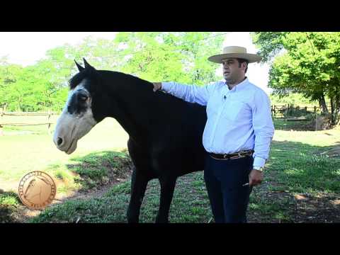 ESQUINAZO
