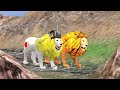 The Jungle That Inspired a Cartoon Empire 😱 #viralvideo #youtube #animalvideos