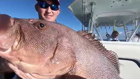 HUGE SPECKLED HIND! Whoa Daddy! Deep Dropping