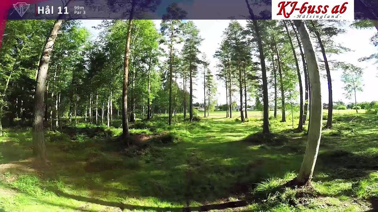 Edsbyns Discgolfbana Hål 11