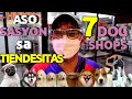 Best pet shop in the philippines   tiendesitas pet shop   tiendesitas dog shop   dog lover 