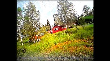 LittleBee MultiShot testing