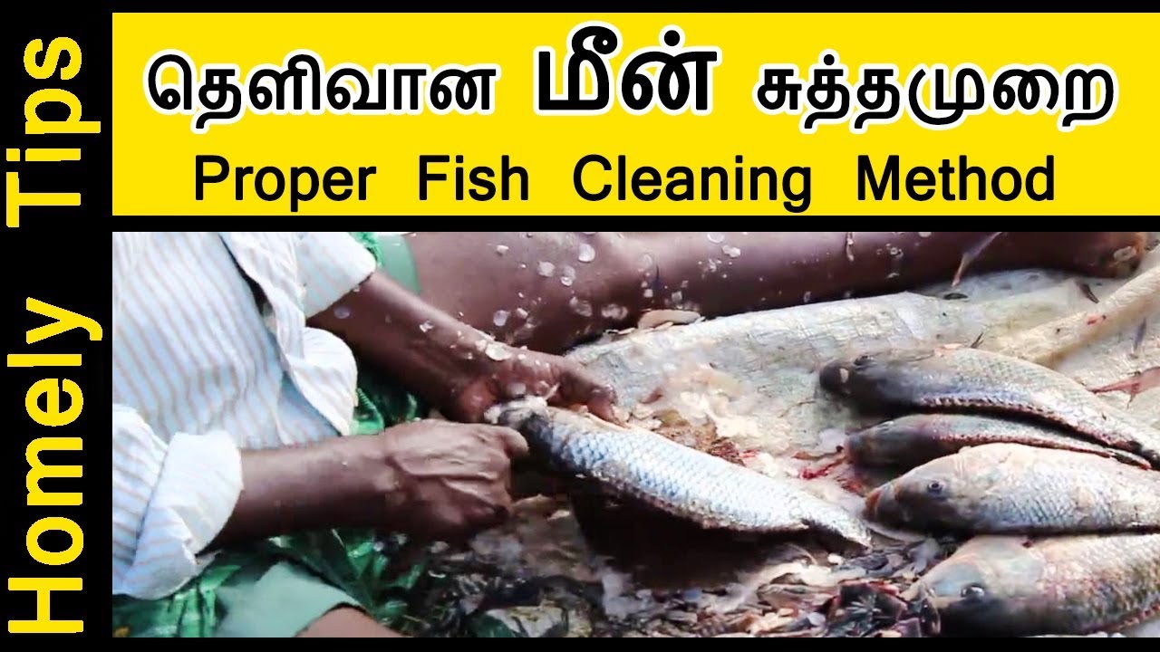Fish cleaning Proper Method in Tamil How to Clean Fish in Tamil
