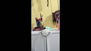 Bumil Pengen Tes Live