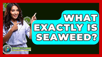 What Exactly Is Seaweed? - Earth Science Answers
