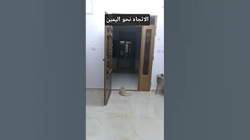 الاتجاه نحو اليمين بليز روحي الاتجاه اليمين الله يلعن ابو اللي اعطاك الرخصه 