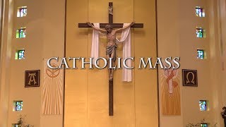 Catholic Mass for May 5th, 2019: The Third Sunday of Easter
