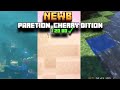 NEWB X PARETION CHERRY-EDITION MCPE 1.20 RENDER DRAGON ?