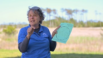 How to Read a Star Chart