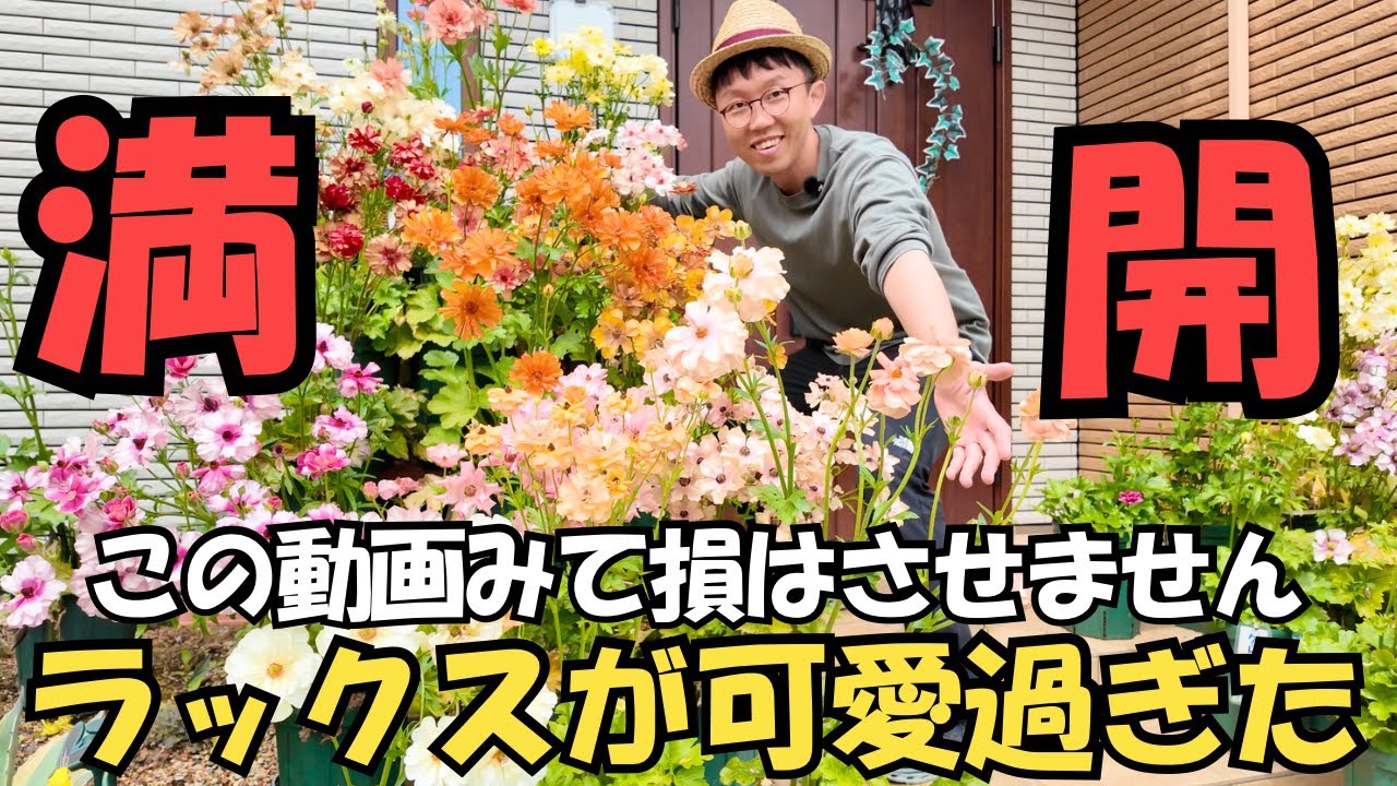 In Full Bloom] A must-see for flower lovers! This episode is all