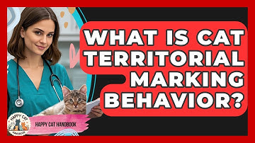 What Is Cat Territorial Marking Behavior? - Happy Cat Handbook