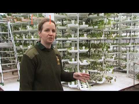 Paignton Zoo's Vertical Farm