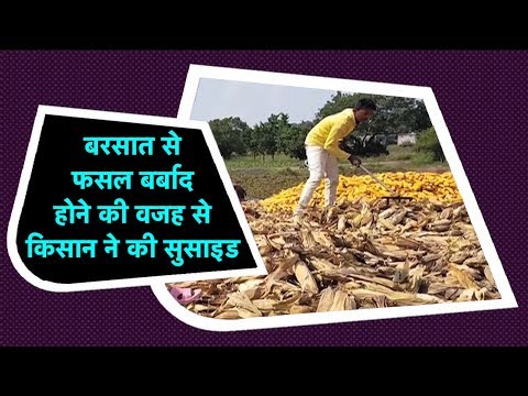 barsaat-से-फसल-बर्बाद-होने-की-वजह-से-farmer-ने-की-suicide