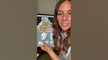 Singing Time Prep for June 8, 2025