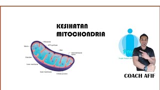 Kesihatan Mitochondia & Q10..