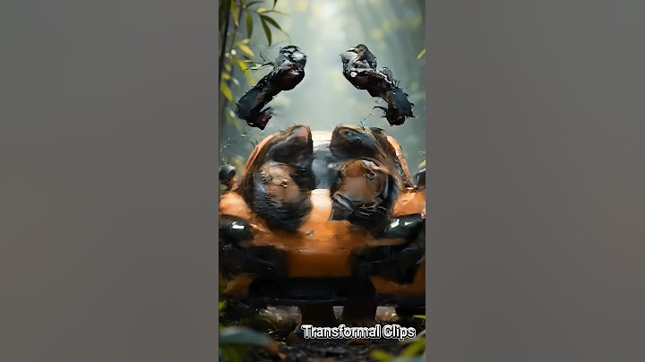 How Did This Animal Become a Supercar?