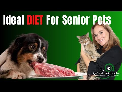 Video: Senior Dog Diet