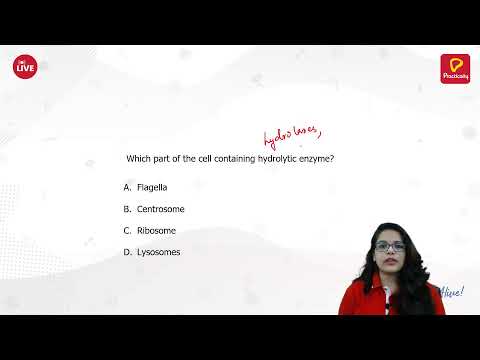 Eukaryotic cell | NEET Biology | Practically