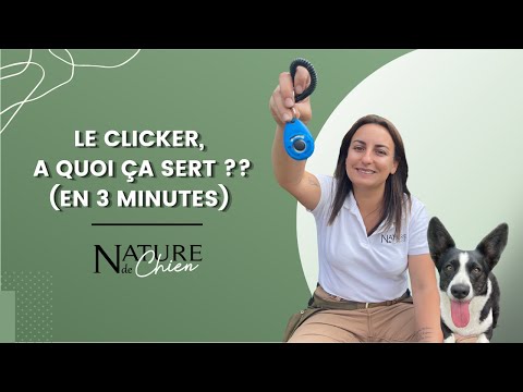 Vidéo: Qu'est-ce qu'iClicker ?