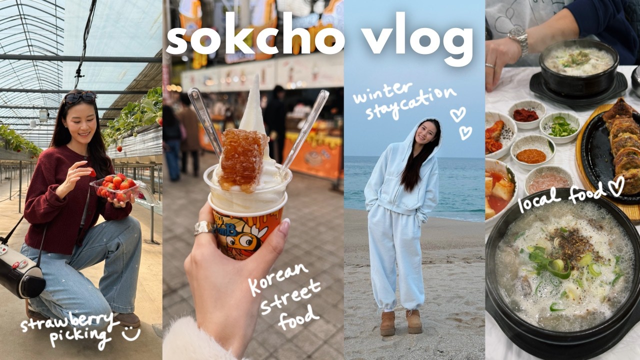 sokcho vlog 🌊 korean market street food, local food and cafes, strawberry farm, best place to stay