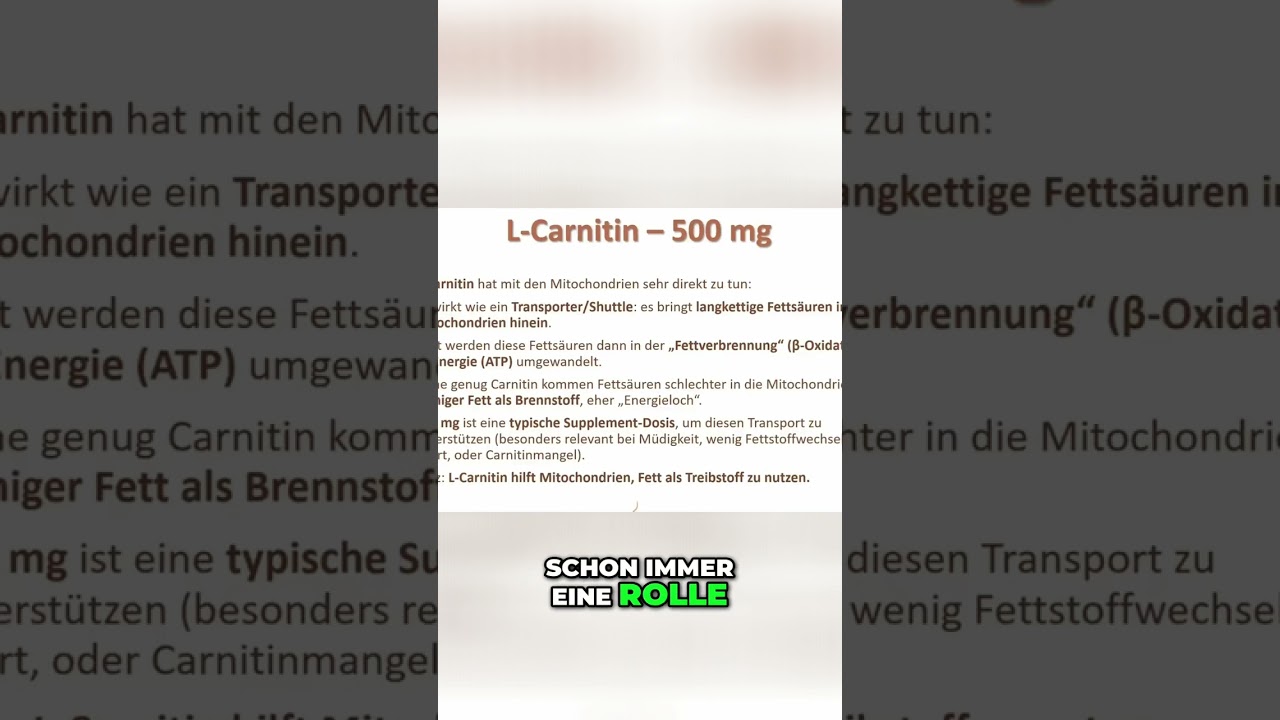 L-Carnitin 🌻🙏💪
