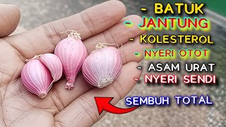BANYAK YANG BELUM TAHU!! FUNGSI RAHASIA BAWANG MERAH