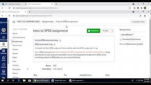 How to open .sav file in SPSS while on Queens Virtual desktop