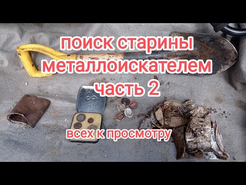 Видео: 20 мая 2024 г.