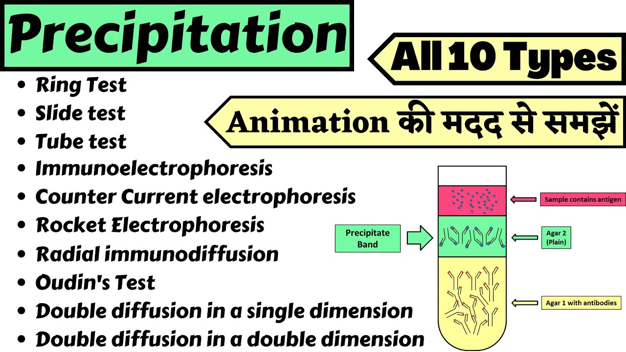 Immunodiffusion reaction | Petri dish, Calibration curve, Graphing