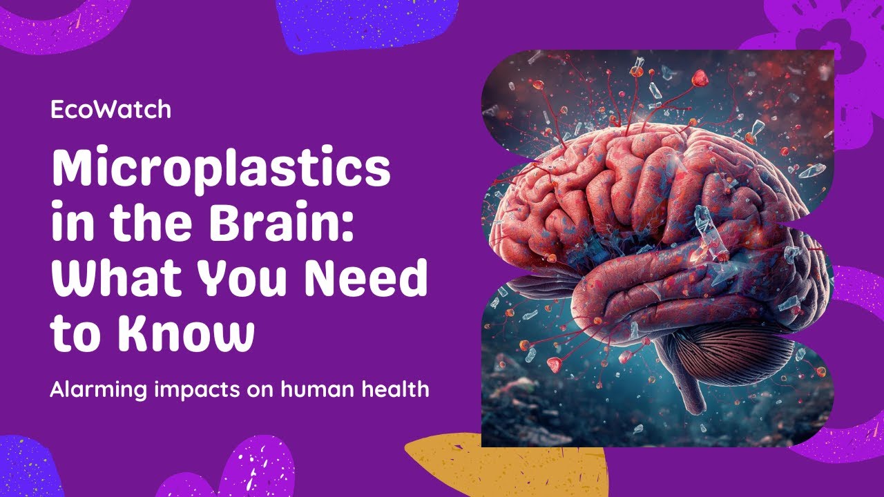 🔥🌟Is Microplastic present in in brain? 